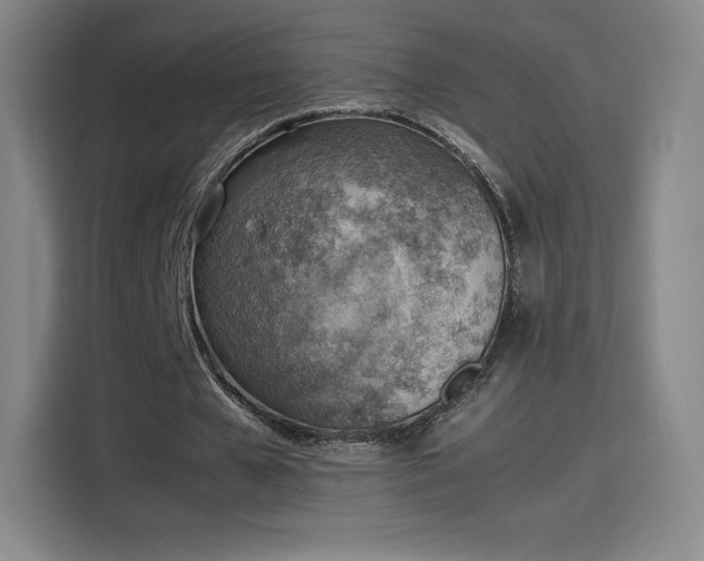 X0000114220577200910161309