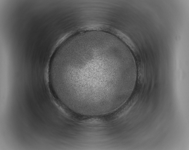 X0000114220578200910161309