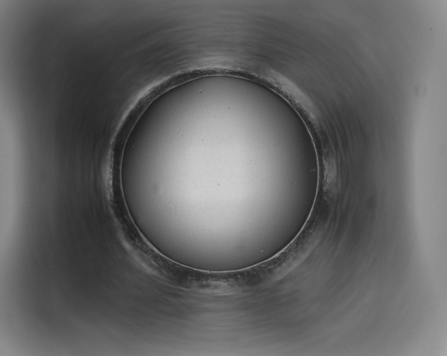 X0000114220580200910161309