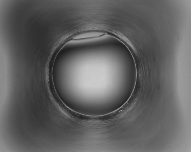 X0000114220581200910161309