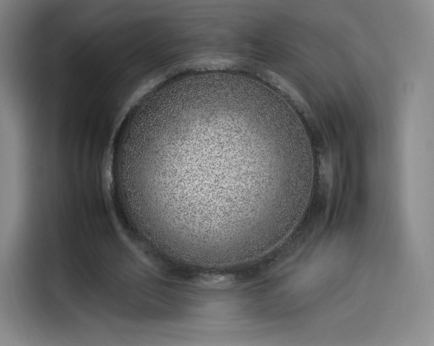 X0000114220582200910161309