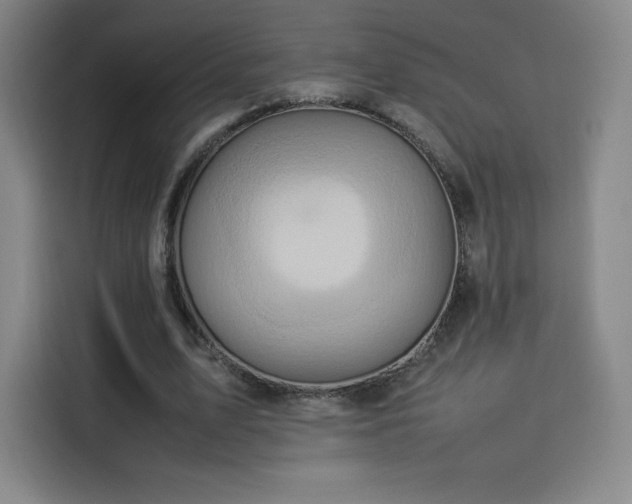 X0000114220583200910161309