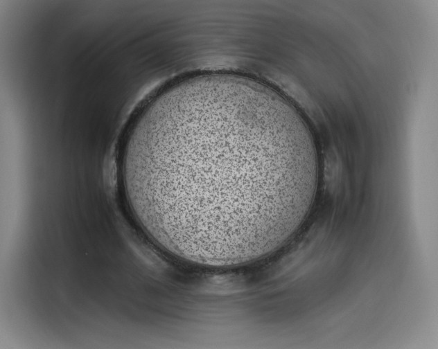 X0000114220584200910161309