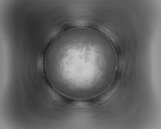 X0000114220585200910161309