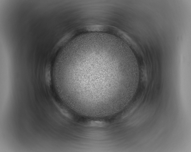 X0000114220586200910161309