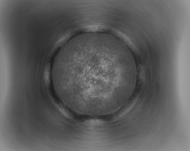 X0000114220590200910161309