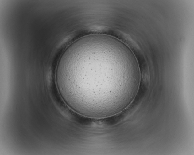 X0000114220591200910161309