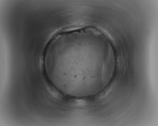 X0000114220592200910161309