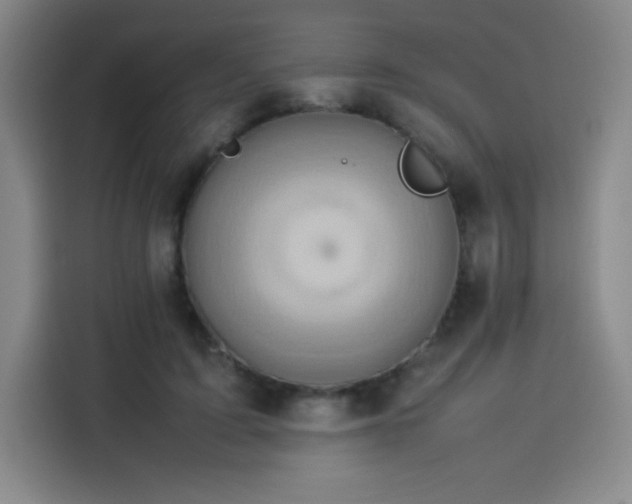 X0000114220595200910161309