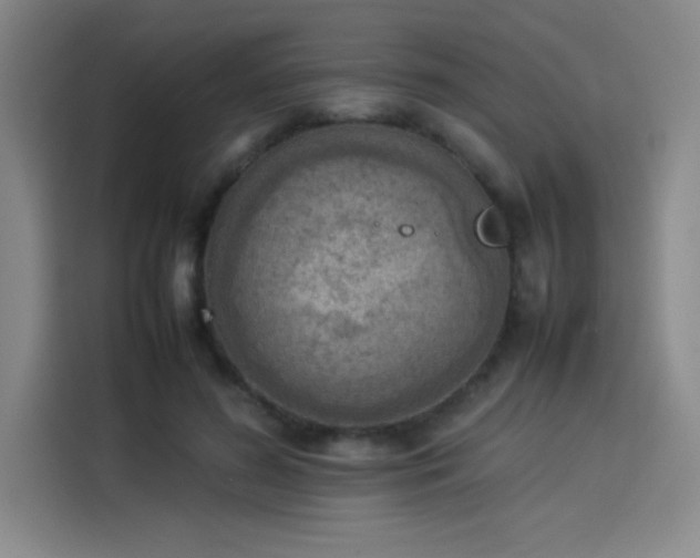 X0000114220596200910161309