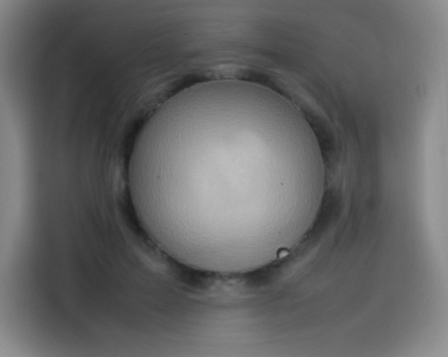 X0000114220599200910161309