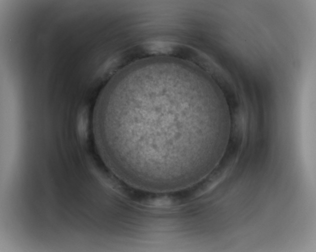 X0000114220600200910161309