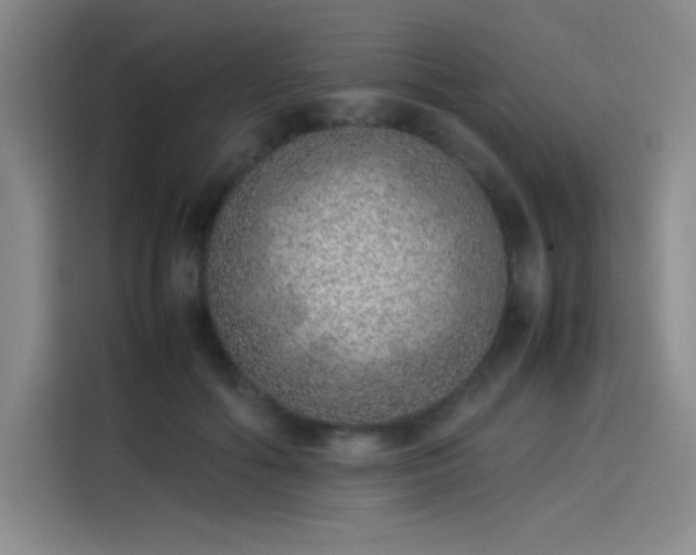 X0000114220602200910161309