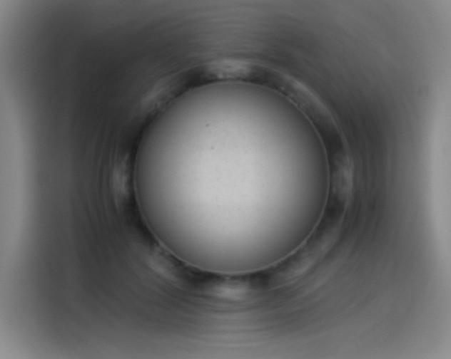 X0000114220604200910161309