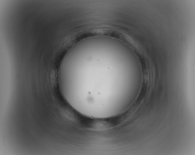 X0000114220605200910161309