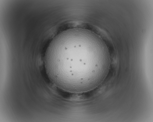 X0000114220607200910161309