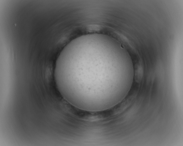 X0000114220608200910161309