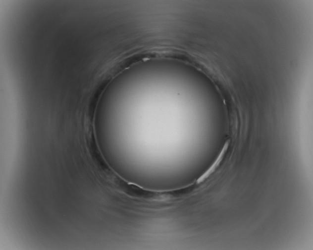 X0000114220609200910161309