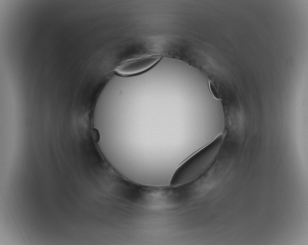 X0000114220611200910161309