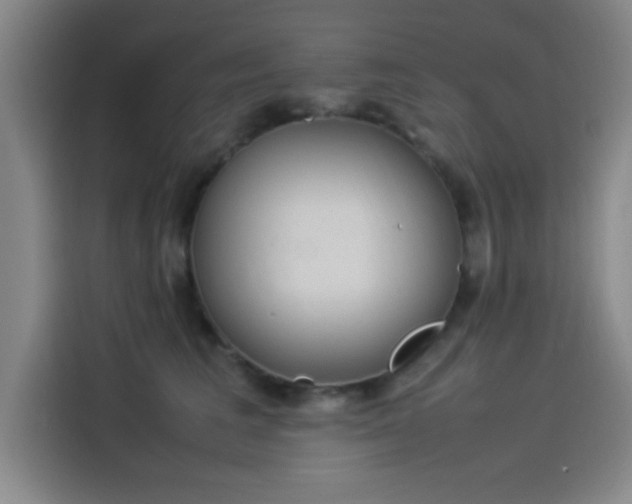 X0000114220613200910161309