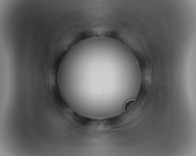 X0000114220615200910161309