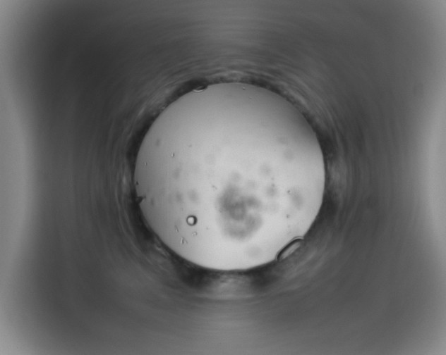 X0000114220617200910161309