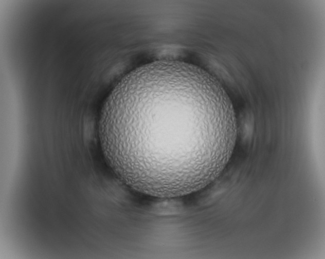 X0000114220619200910161309