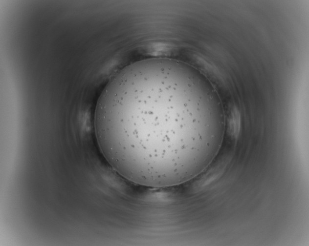 X0000114220620200910161309