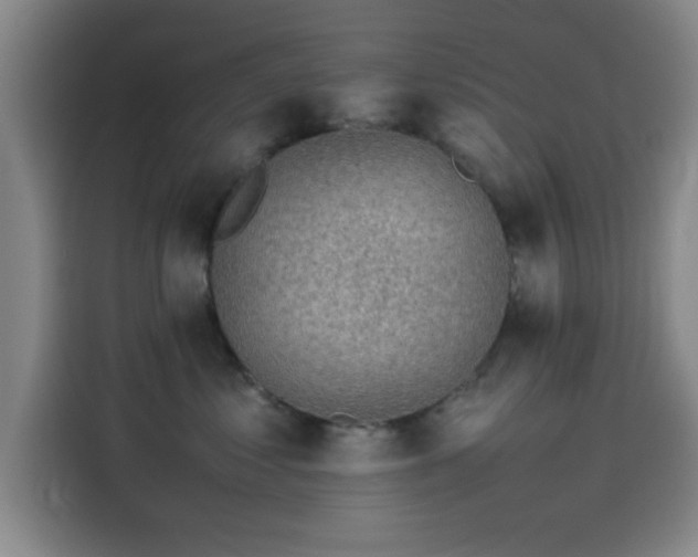 X0000114220621200910161309