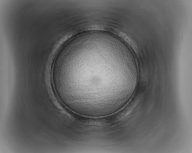 X0000114220625200910161308