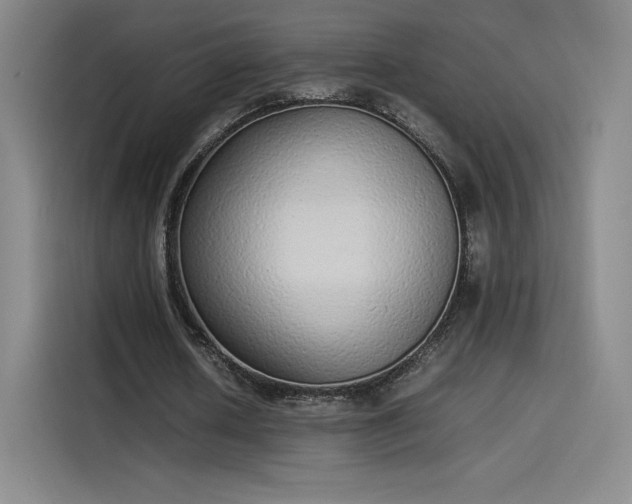 X0000114220626200910161308