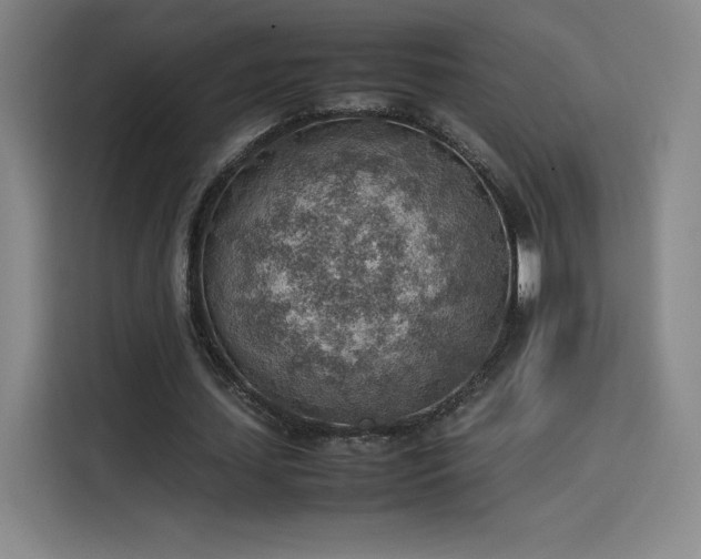 X0000114220627200910161308