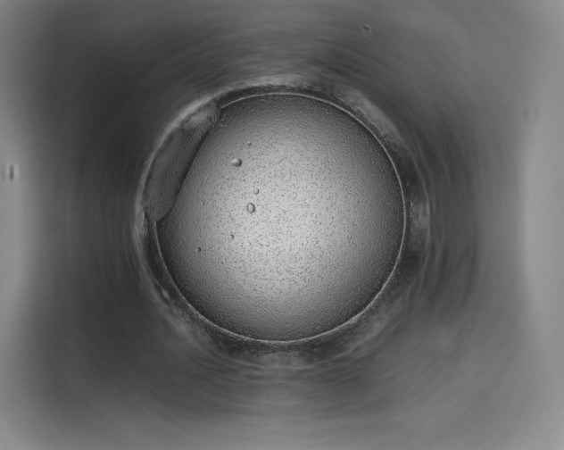 X0000114220628200910161308