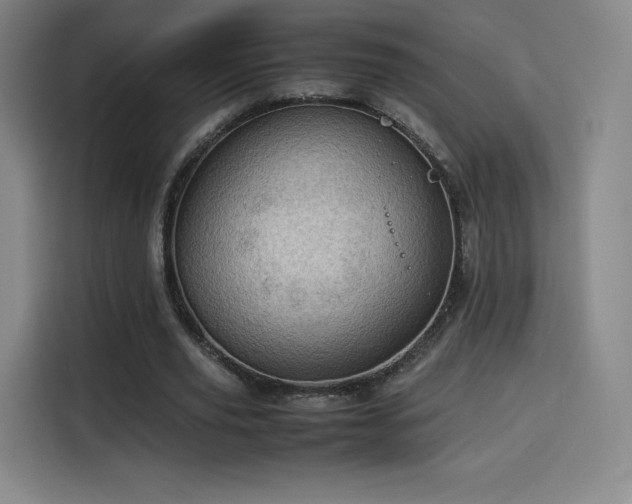 X0000114220629200910161308