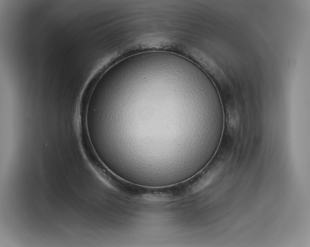 X0000114220630200910161308