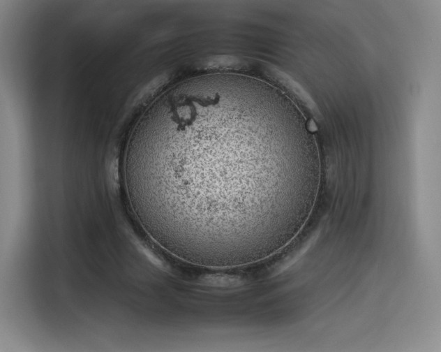 X0000114220633200910161308