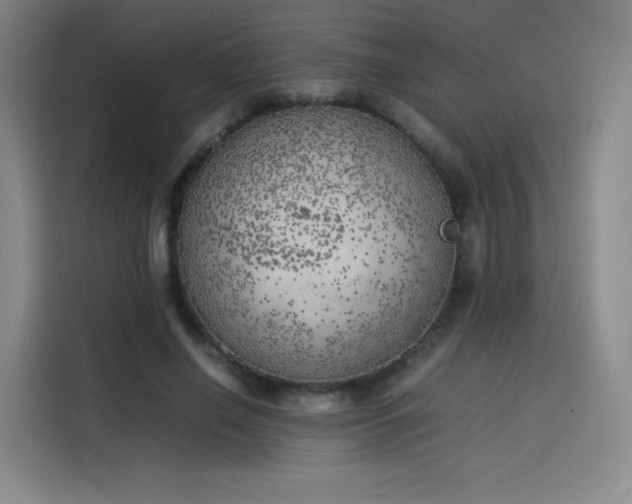 X0000114220638200910161308