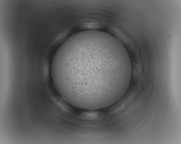 X0000114220639200910161308