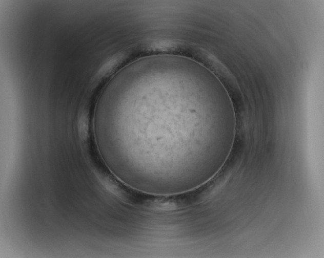 X0000114220640200910161308