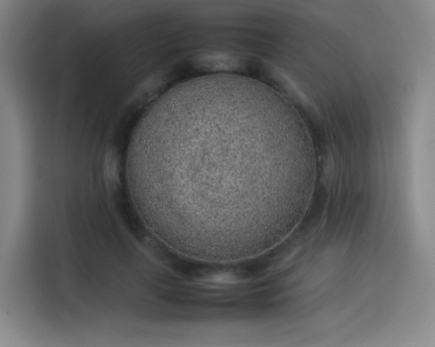 X0000114220643200910161308