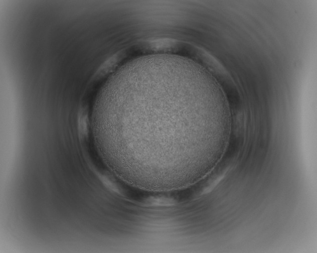 X0000114220644200910161308