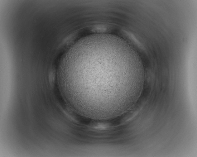 X0000114220645200910161308