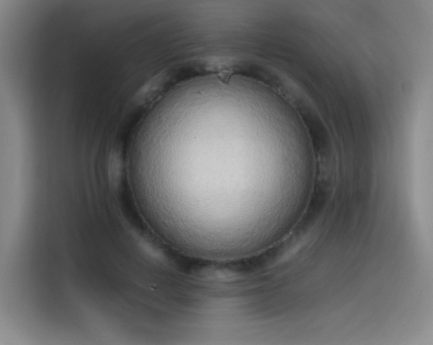 X0000114220648200910161308