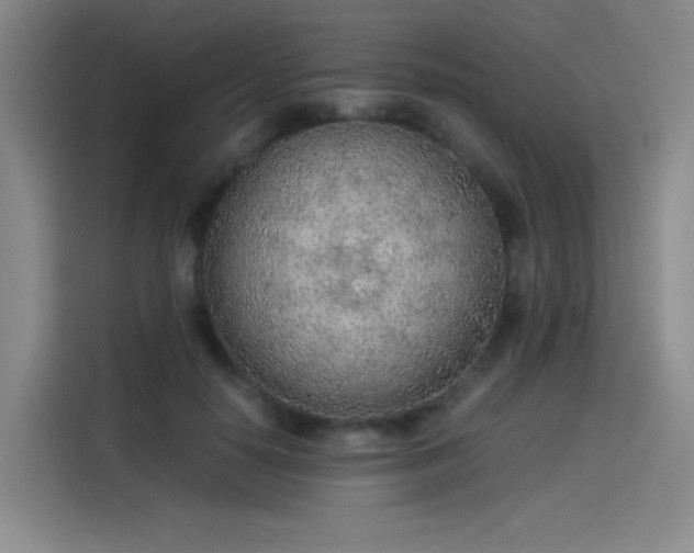 X0000114220650200910161308