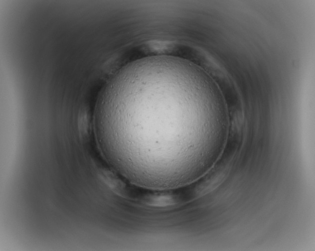 X0000114220651200910161308