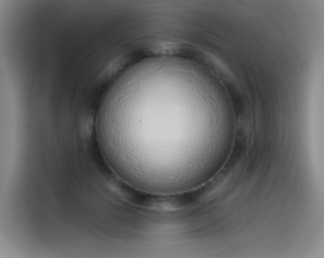 X0000114220652200910161308