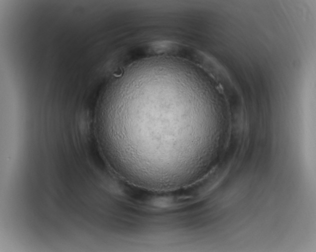 X0000114220653200910161308