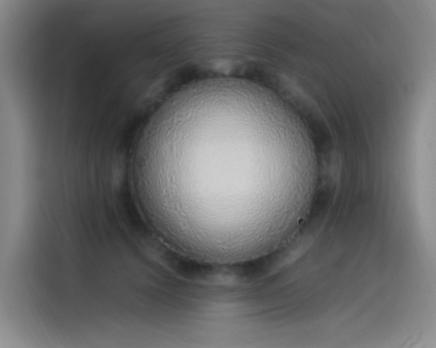 X0000114220656200910161308