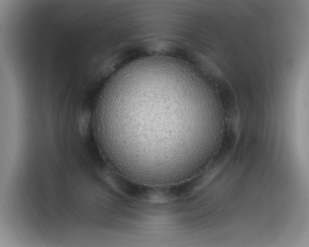 X0000114220660200910161308