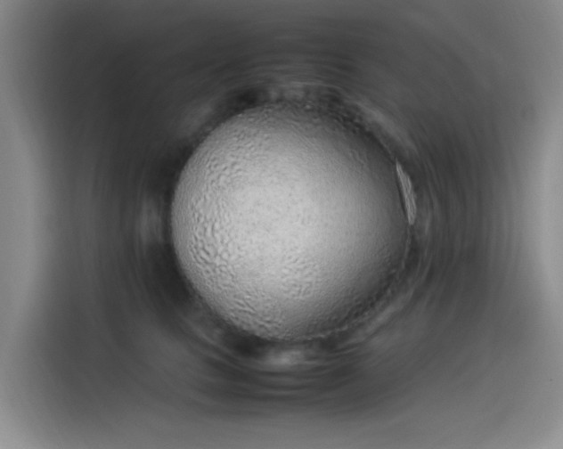 X0000114220661200910161308